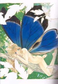 BUY NEW seraphic feather - 23115 Premium Anime Print Poster